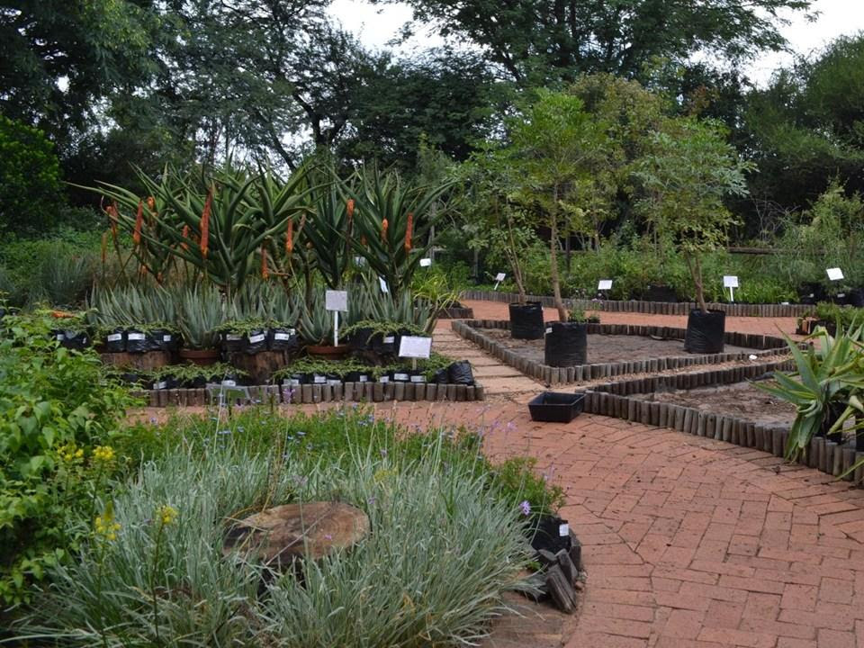 No Name Nursery in Melville